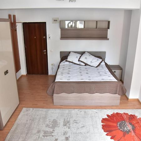 Apartament Frunzei Sibiu Exteriér fotografie